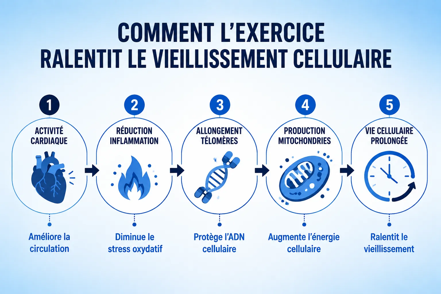 L'exercice ralentit-il le vieillissement au niveau cellulaire ?